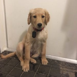 Meet your Posher, Chiefcargo33024